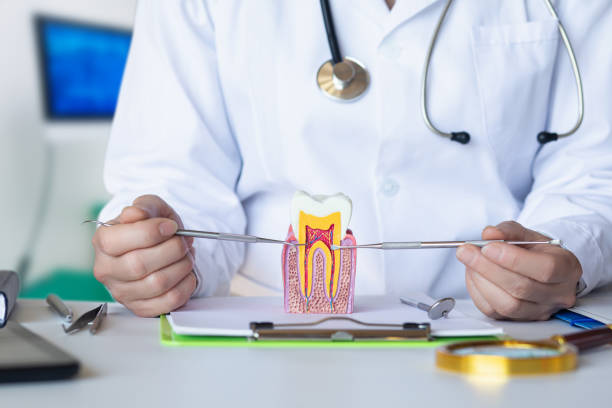 Best Emergency Treatment for Dental Infections or Abscesses in Marshall, MN